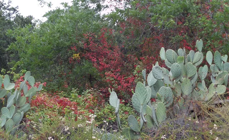 Oak Canyon Nature Center