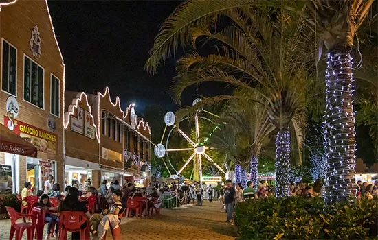 Centro de Holambra de noite