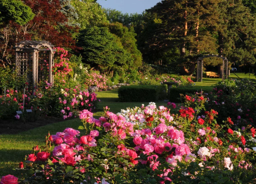 Jardim Botânico de Ottawa