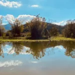 Tour pelo Vale das Pitaias e Apiário Pfau