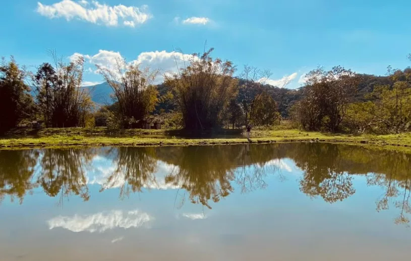 Tour pelo Vale das Pitaias e Apiário Pfau