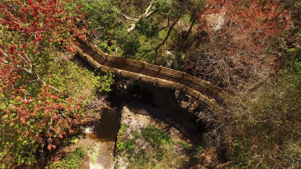 Trilha no Moccasin Lake Nature Park em Clearwater