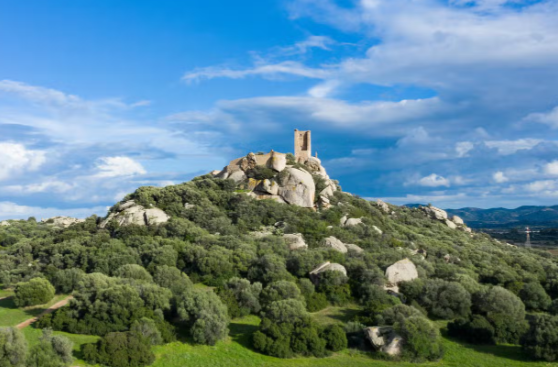 Tour Arqueológico de Olbia