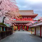 Visita guiada por Asakusa