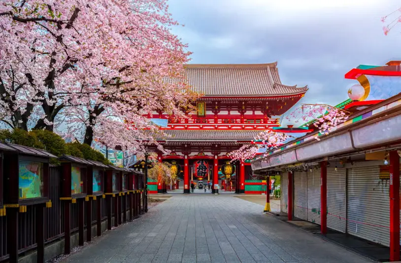 Visita guiada por Asakusa