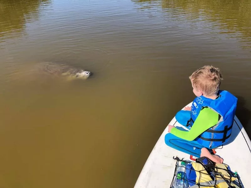 Criança na Banana River Aquatic Preserve em Cocoa Beach