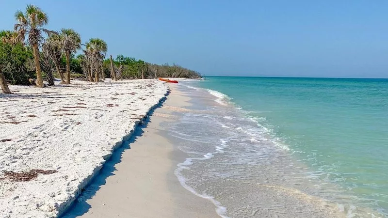 Caladesi Island State Park próximo a Clearwater