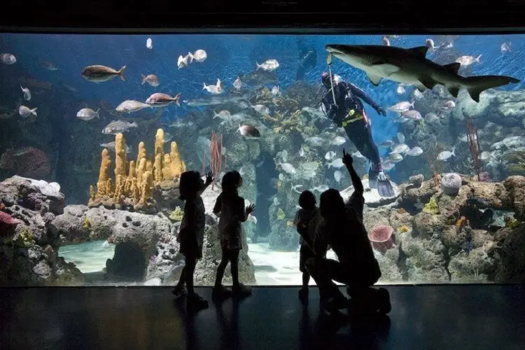 Aquário no Bioparque Temaikèn em Buenos Aires