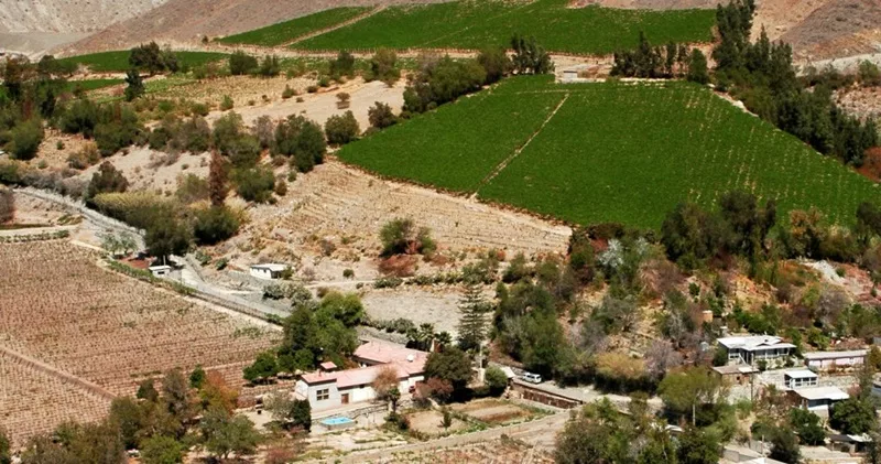 Valle del Huasco 