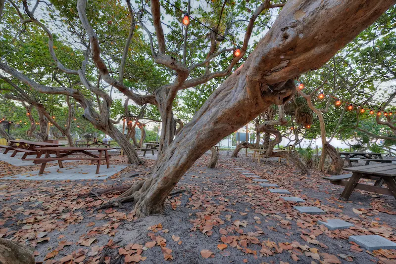 Área de piquenique no Hugh Taylor Birch State Park em Fort Lauderdale