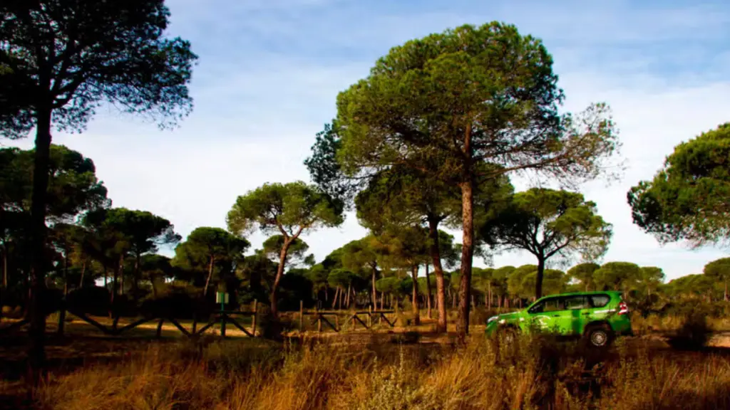 Parque Nacional de Doñaña