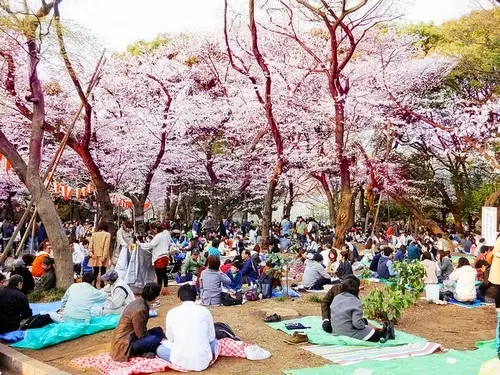 Quando ir para o Japão: 3 melhores meses