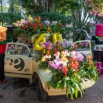 Saiba tudo sobre a Expoflora, famosa festa das flores de Holambra