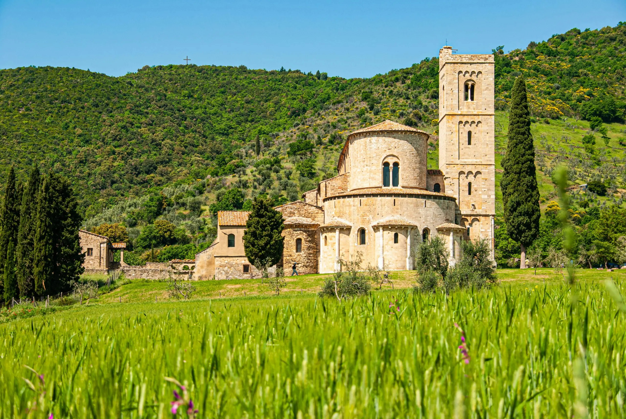 O que fazer em Montalcino: 15 passeios e pontos turísticos