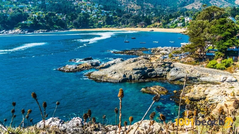 Praia de Zapallar em Valparaíso