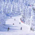 Cidades com neve no Japão