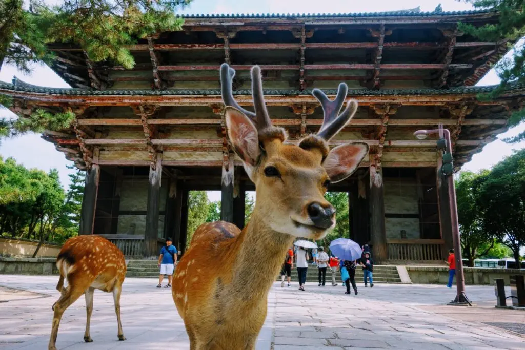 Parque de Nara