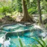 Hot Springs