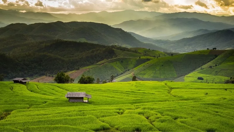 Chiang Mai