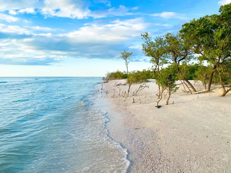 Honeymoon Island State Park próximo a Boca Raton