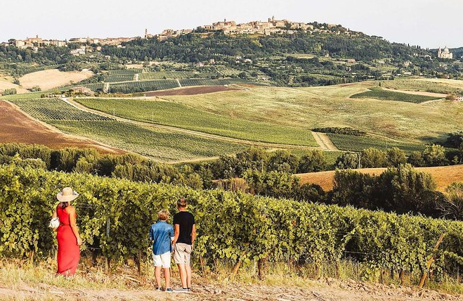 Vino Nobile di Montepulciano