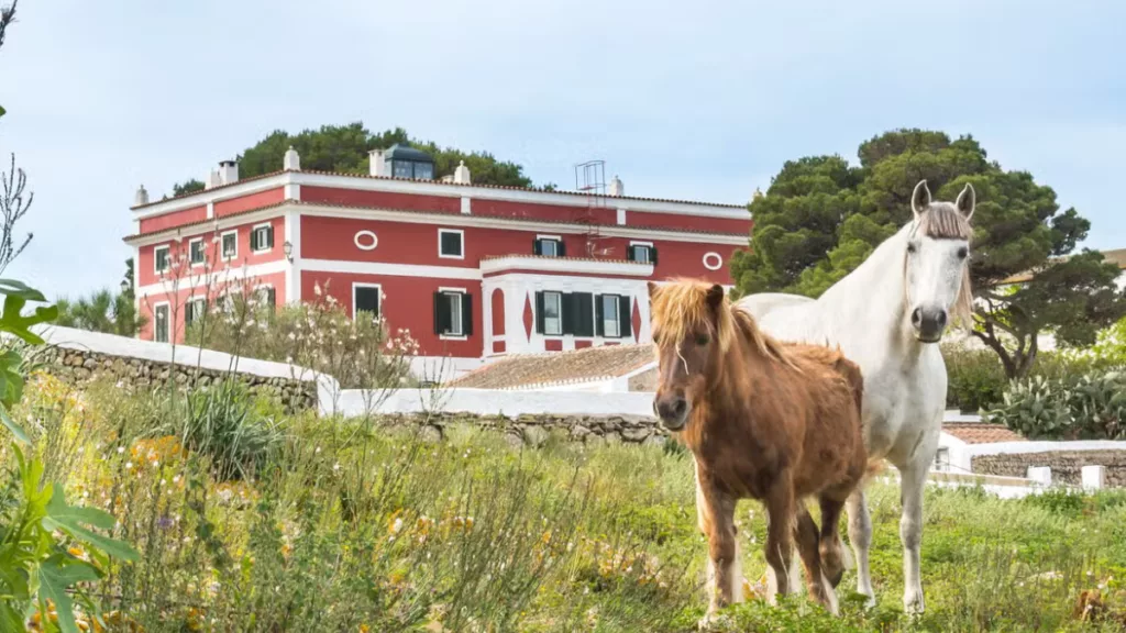 Visita à queijaria Subaida