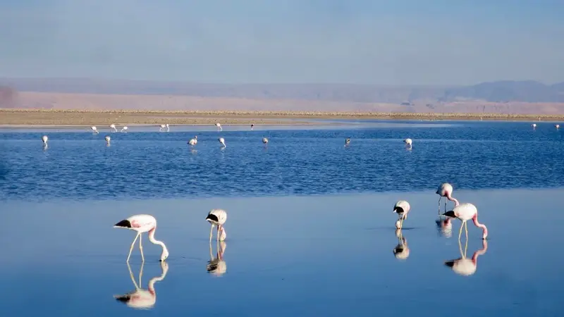 San Pedro de Atacama em Fevereiro: como é o clima e o que fazer!