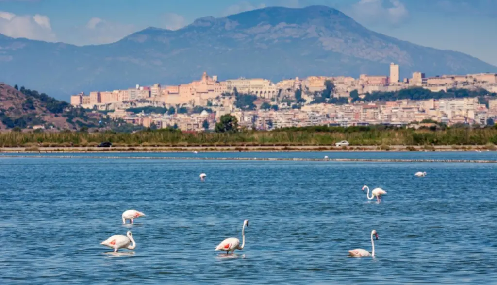 Parque Molentargius-Saline