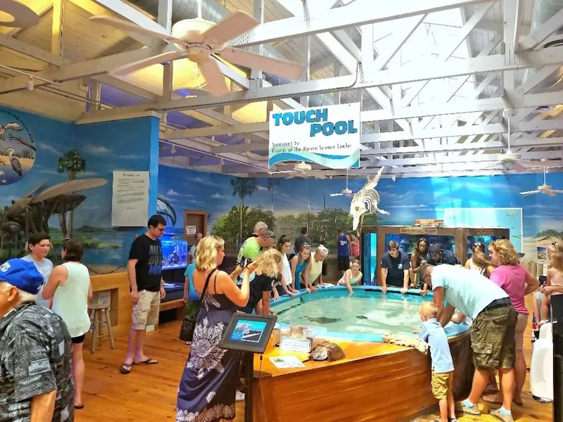 Touch Pool Marine Science Center próximo a Daytona Beach