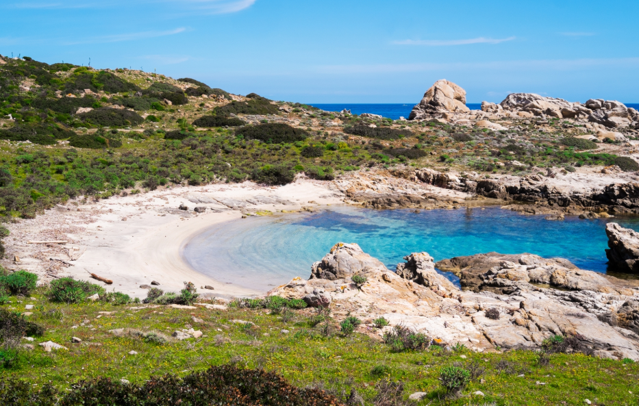 Ilha de Asinara