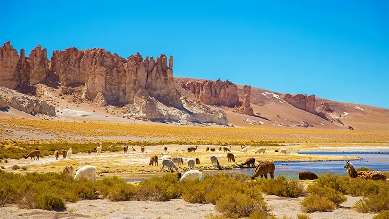 San Pedro de Atacama em novembro: como é o clima e o que fazer!