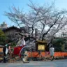 Como é o verão em Kyoto