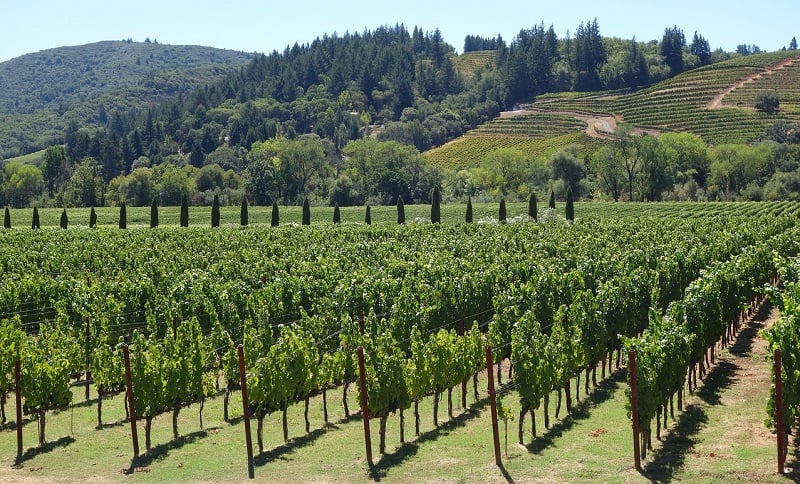 Tour de vinhedos e adegas em Mendoza