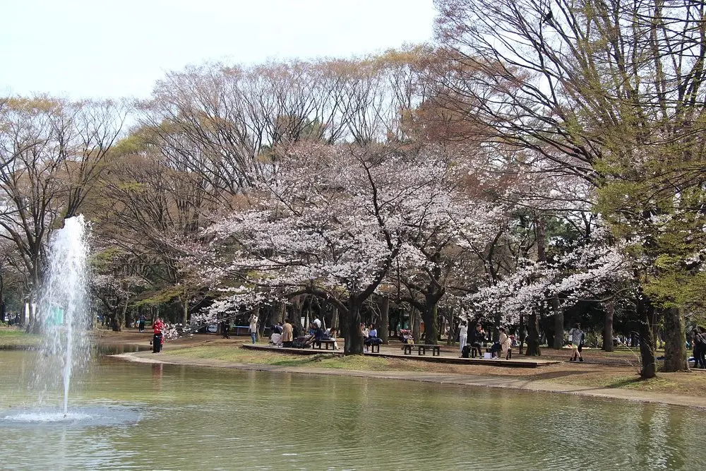 Parque Yoyogi