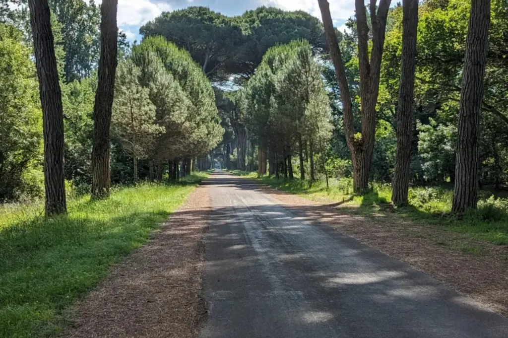 Parque Natural Migliarino San Rossore