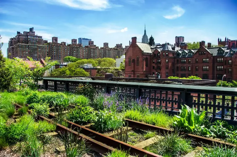 Vegetação do parque The High Line em Nova York