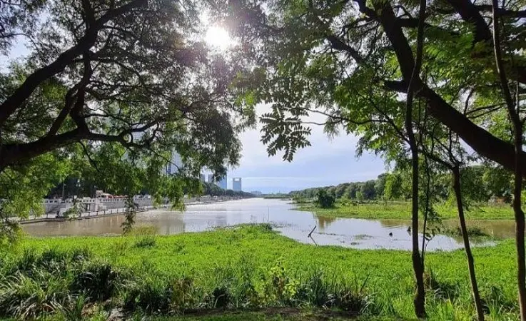 Reserva Ecológica Costanera Sur em Buenos Aires