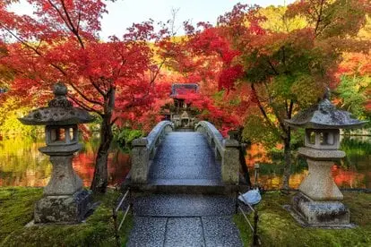 Kyoto no outono