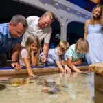 Touch Tank no Key West Aquarium