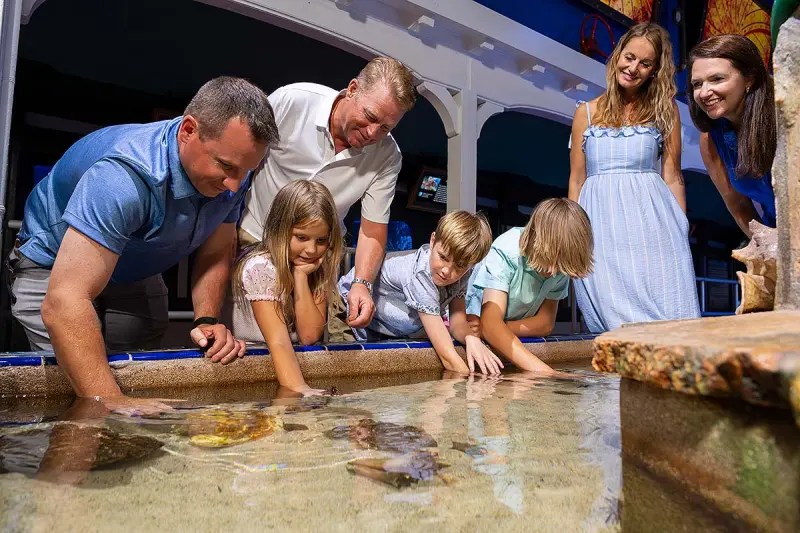 Touch Tank no Key West Aquarium