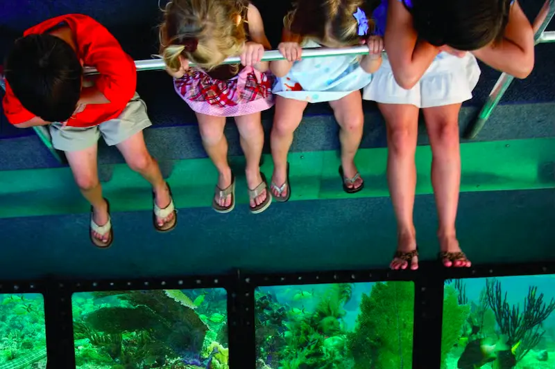 Crianças no passeio de barco com chão de vidro em Key West