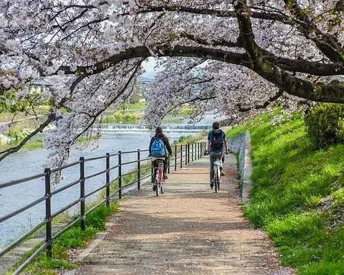 Bicicleta em Kyoto