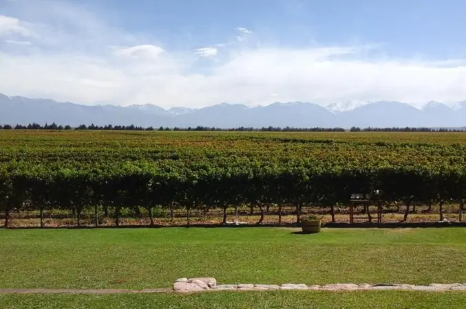 Bodega Monteviejo em Mendoza