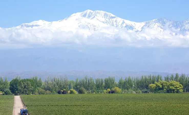 De Mendoza a bodega Catena Zapata de carro