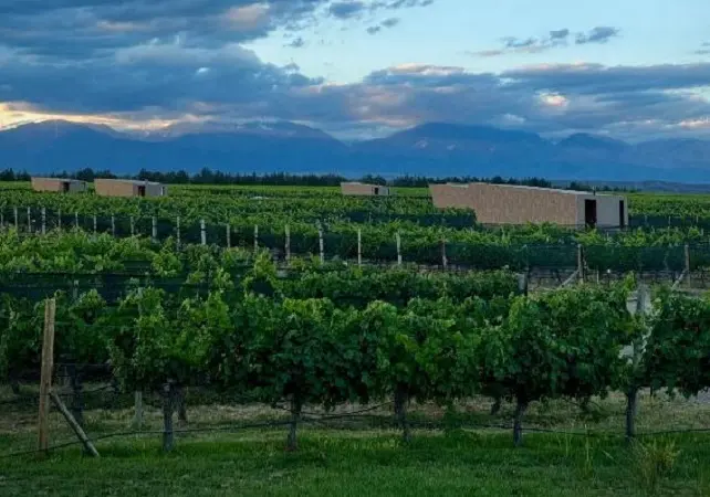 Tudo sobre a bodega Andeluna Cellars em Mendoza