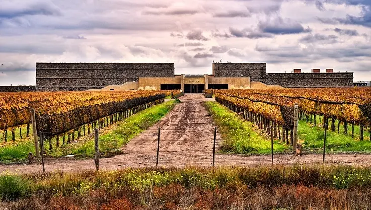 Informações da bodega Séptima em Mendoza