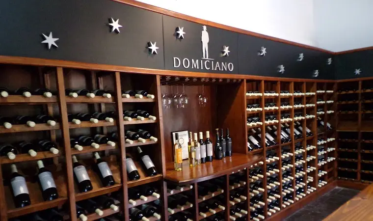 Bodega Domiciano em Mendoza