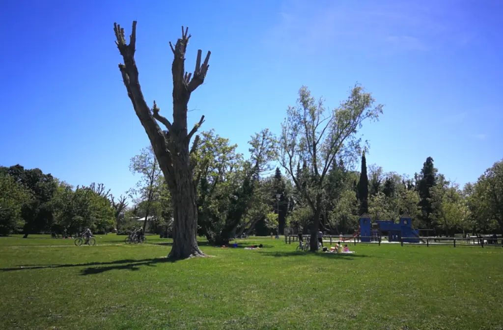 Parco XXV Aprile