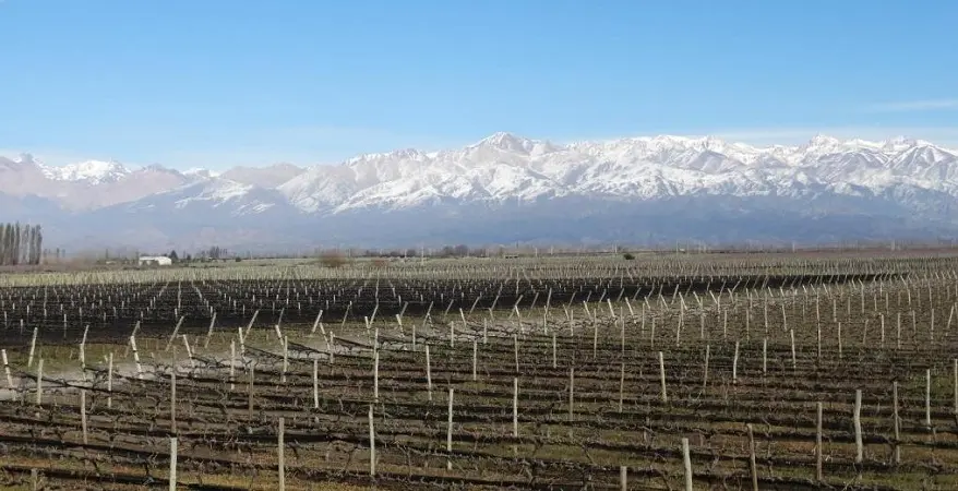 Bodega La Azul em Mendoza