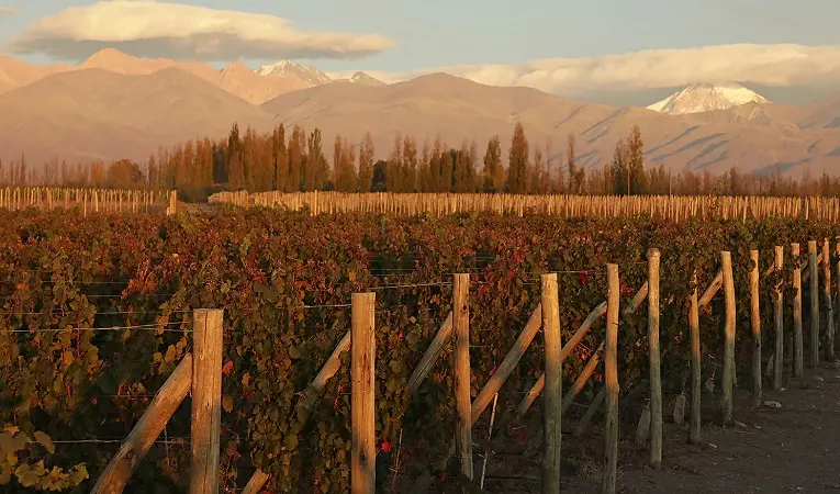 Tudo sobre a bodega Lagarde próxima a Mendoza